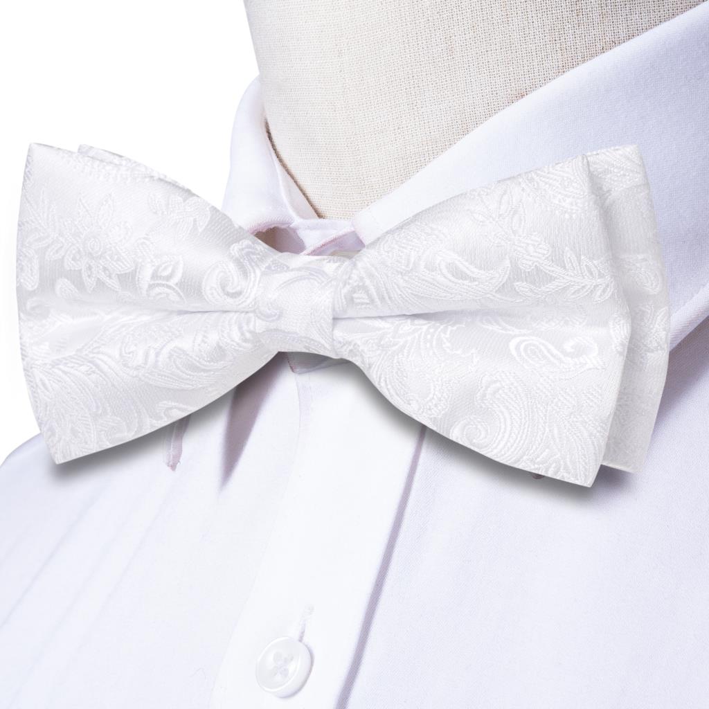 Hi-Tie Mens Bow Tie Hanky Cuff - Cufflinks Silver Set 评论和价格